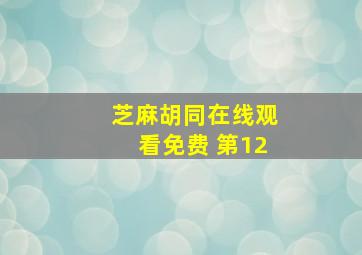 芝麻胡同在线观看免费 第12